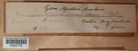 Image Associated With the Occurence